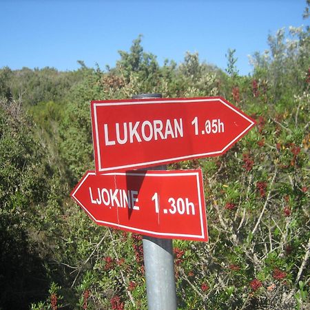 Rustic Holiday Home Miketa Lukoran Esterno foto