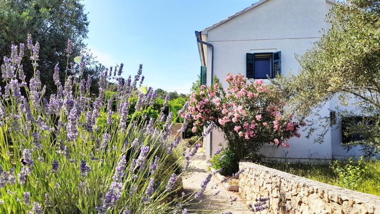 Rustic Holiday Home Miketa Lukoran Esterno foto