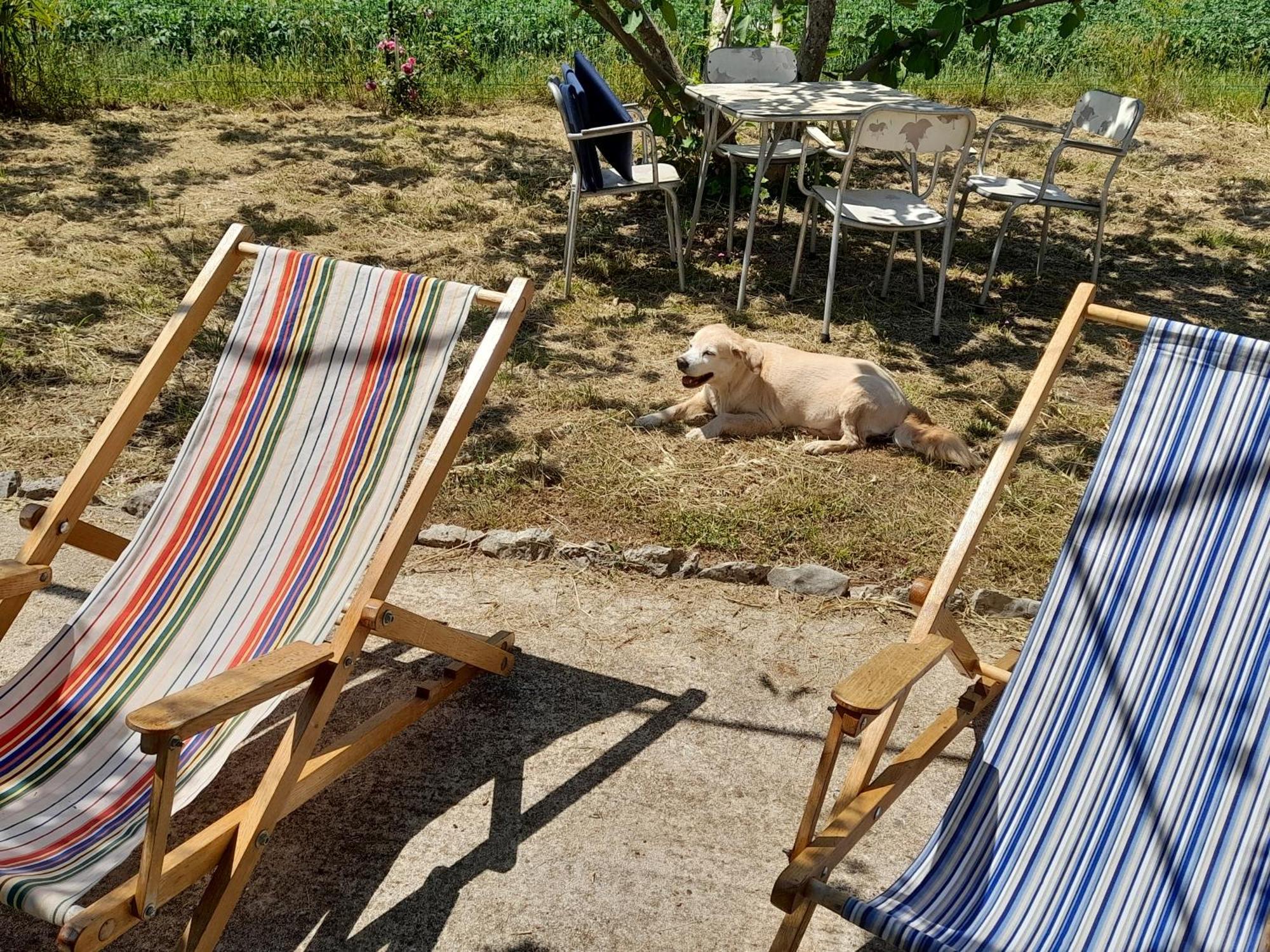 Rustic Holiday Home Miketa Lukoran Esterno foto