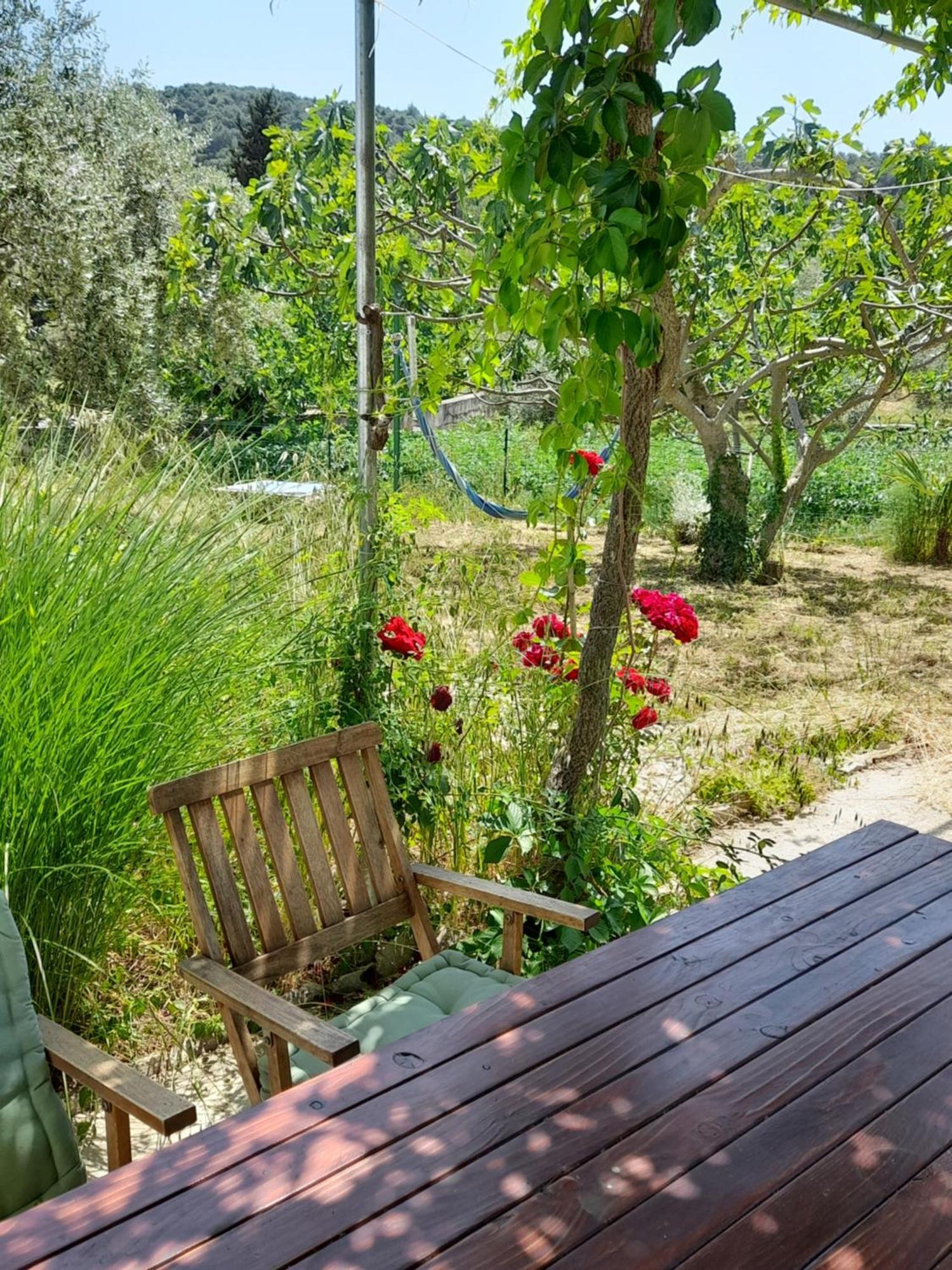 Rustic Holiday Home Miketa Lukoran Esterno foto