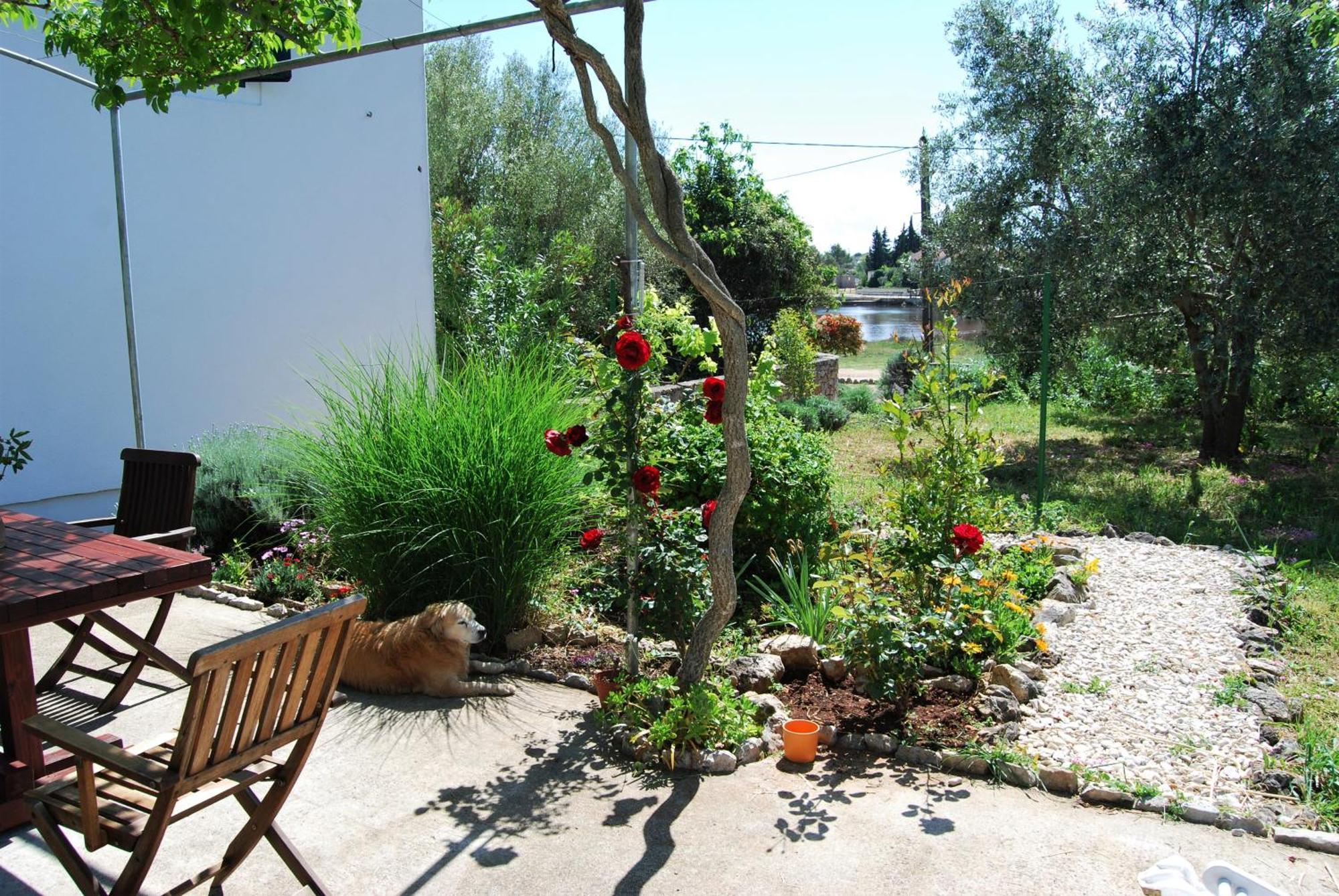 Rustic Holiday Home Miketa Lukoran Esterno foto